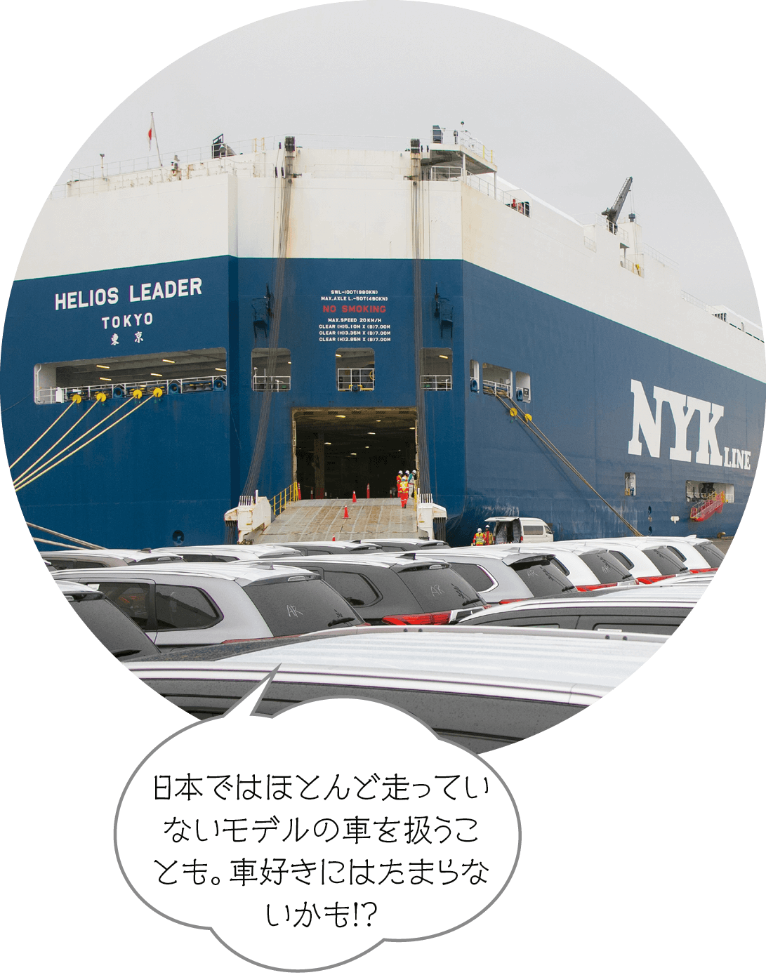 日本ではほとんど走っていないモデルの車を扱うことも。車好きにはたまらないかも！？