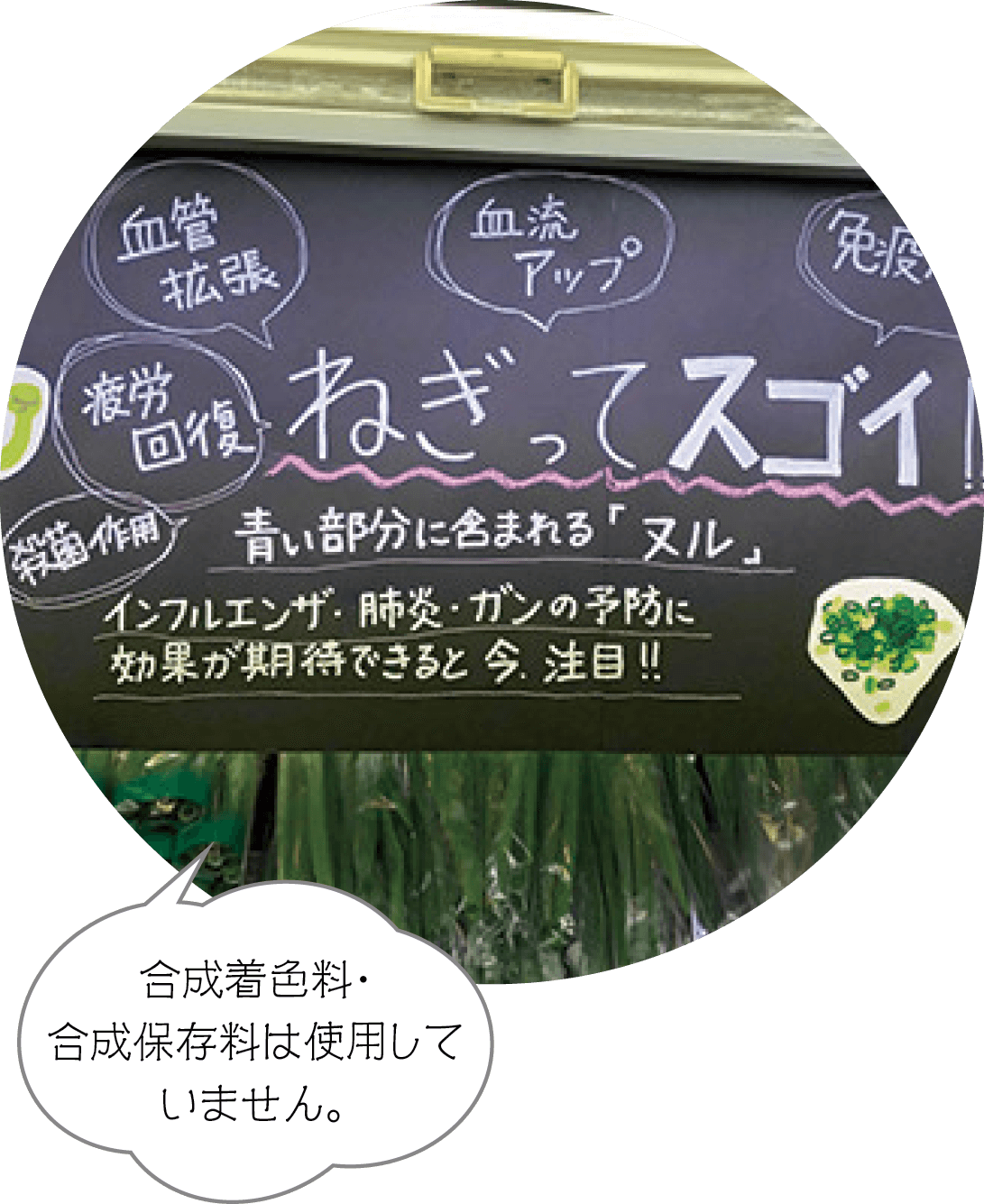 合成着色料・合成保存料は使用していません。